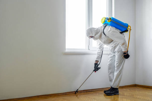 Emergency Pest Control in Tamaqua, PA